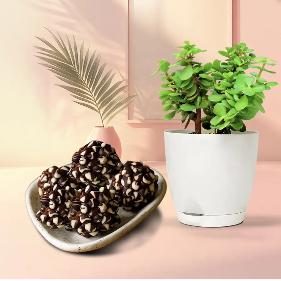 Sweet Serenity Gift Set