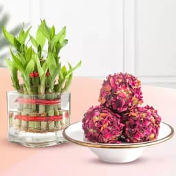 Sweet Serenity: Kaju Laddus & Bamboo Bliss 1