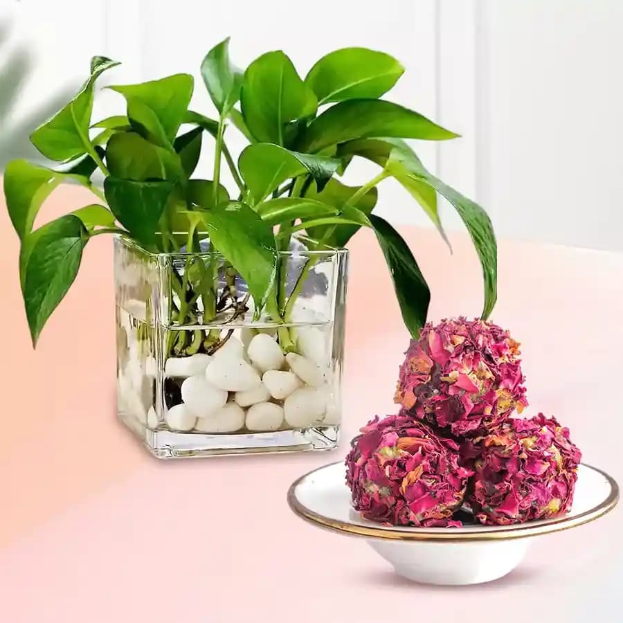 Delightful Kaju Rose Treat & Green Gem