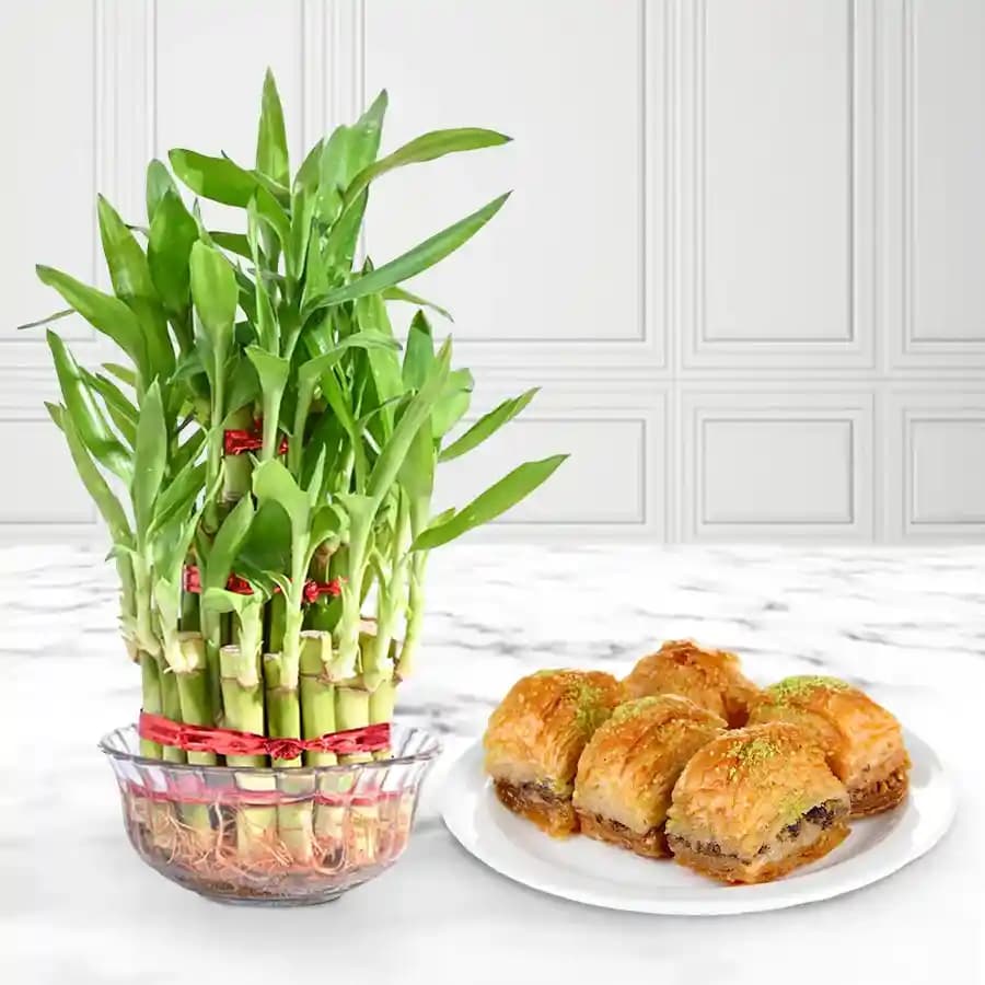 Sweet Harmony: Baklava & Bamboo Bliss