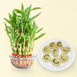 Kaju Cake from Mithas Delicious Sweets with 3 Tier Lucky Bamboo Plant 1