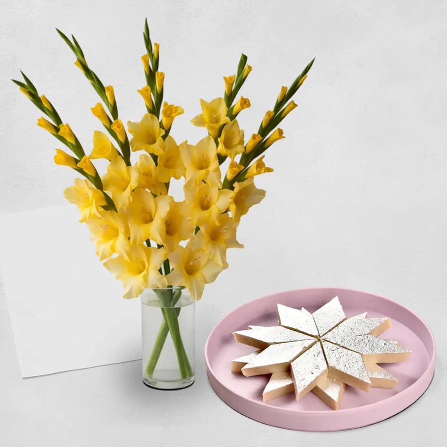 Radiant Gladiolus N Kaju Barfi Delight