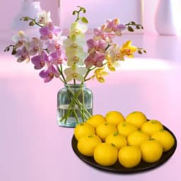 Elegant Orchids with Rajbhog Treats 1