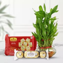 Sustainable Joy Gift Set 1