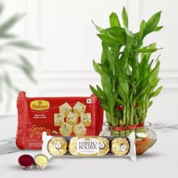 Eco Friendly Assortment Gifts 1