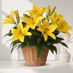 Sunshine Elegance Bouquet 1