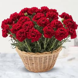 Amazing Red Carnations Basket 1