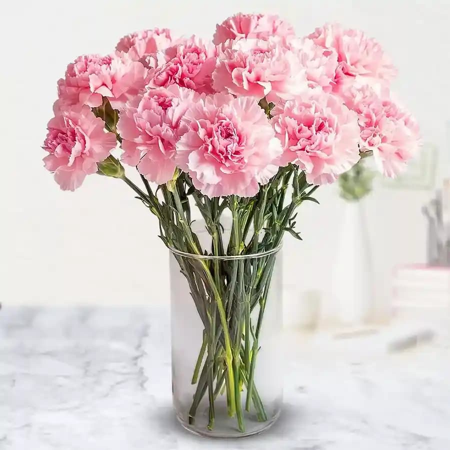 Lovely Pink Carnations in a Vase