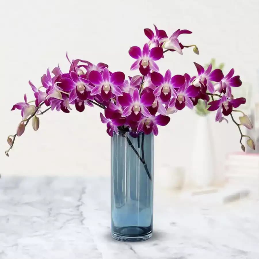 Gift of Fresh Orchids Arranged in a Glass Vase
