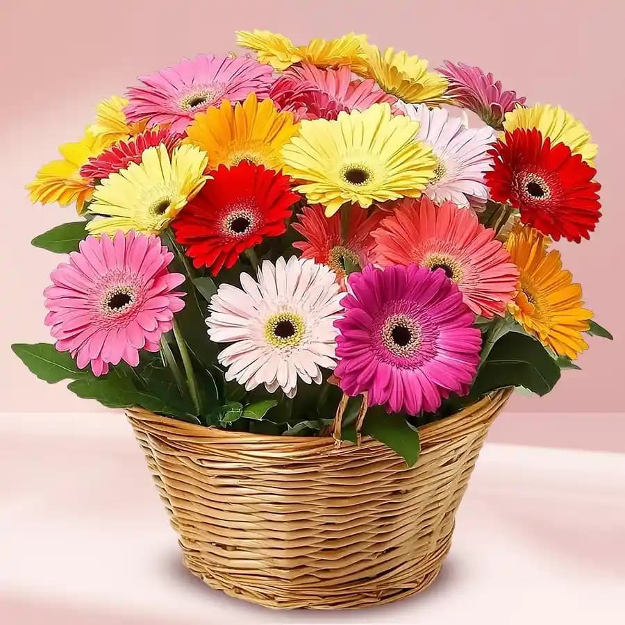 Lovely Mixed Gerberas Arrangement