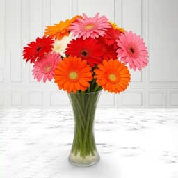 Gorgeous Mixed Gerberas in a Glass Vase 1