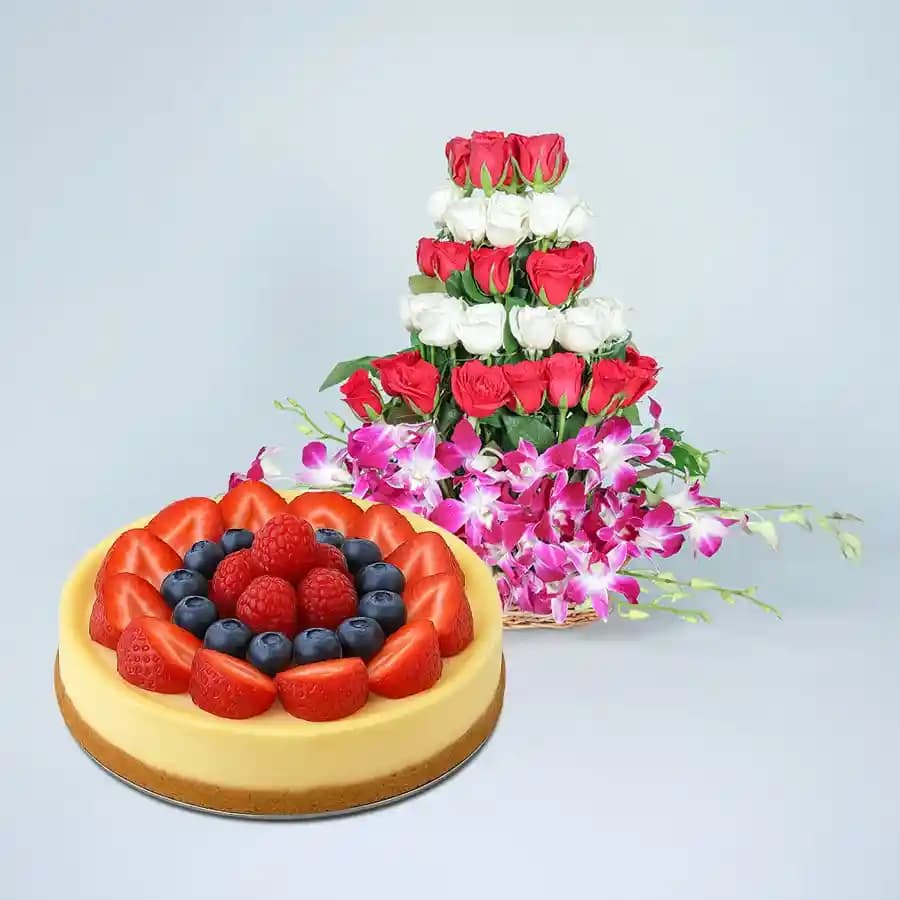 Vibrant Dreamy Cheesecake Delight