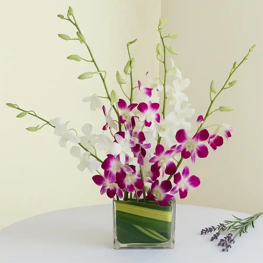 Lovely Orchids in Vase
