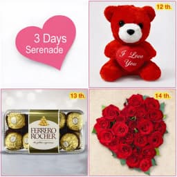 3 Day Serenade for Love of your Life 1