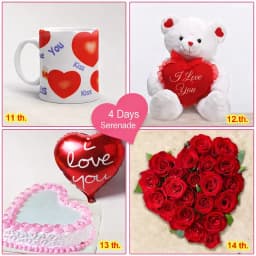 4 Day Love Serenade 1