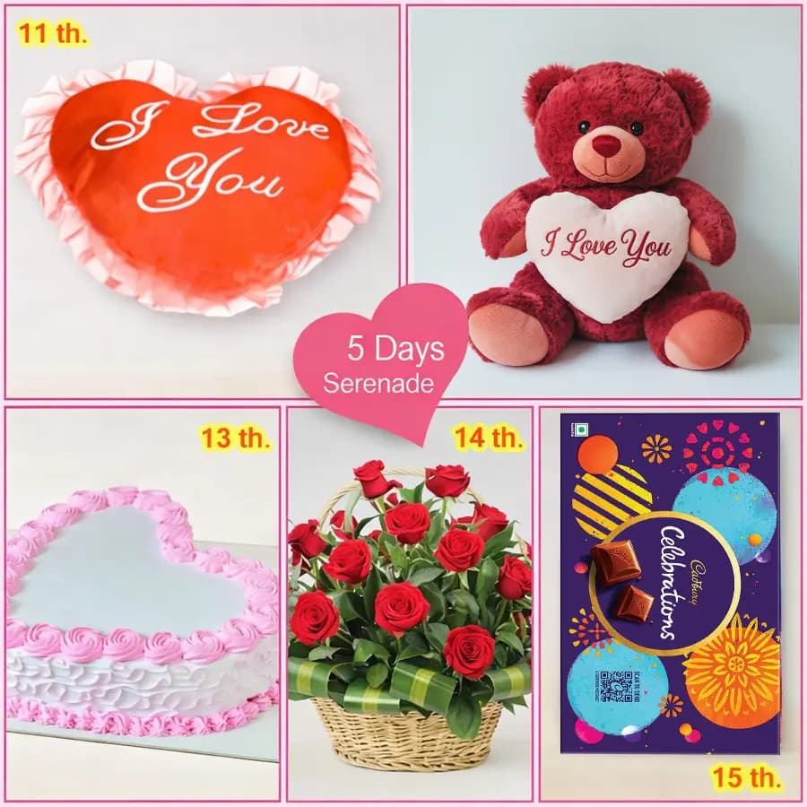 5 Day Serenade for your Love