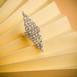 Celestial Flight Ring 1