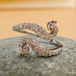 Serpent's Embrace Silver Ring 1
