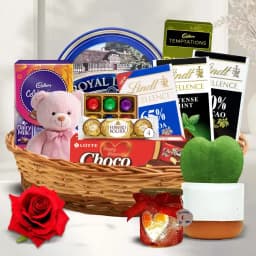 Delicious Chocolate Hamper with Teddy Lamp N Plant 1