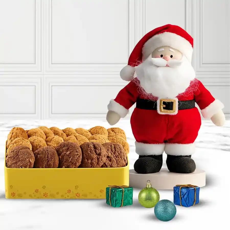 Stunning Cookie Extravaganza with Standing Santa Soft Toy