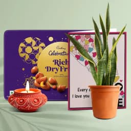 Cadbury Delights, Snake Plant 1