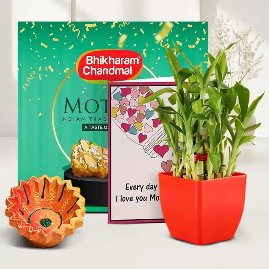 Bamboo Plant And Motipak Extravaganza
