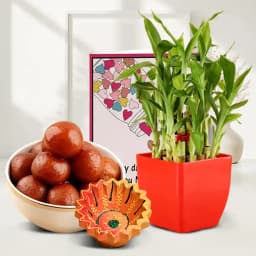 Diwali Hamper Bamboo Plant Diya And Sweet Celebrations 1