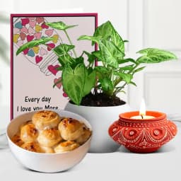 Diwali Glow And Greenery 1