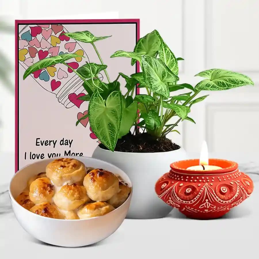 Diwali Glow And Greenery