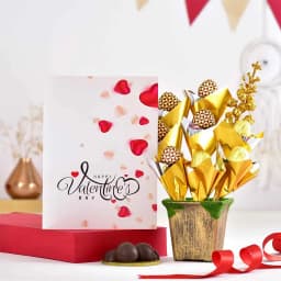 Wholesome Valentines Chocolates Pot Arrangement 1