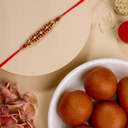 Stunning AD Rakhi N Gulab Jamun Treat 1