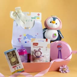 Deluxe Baby Mealtime & Play Essentials Set 1