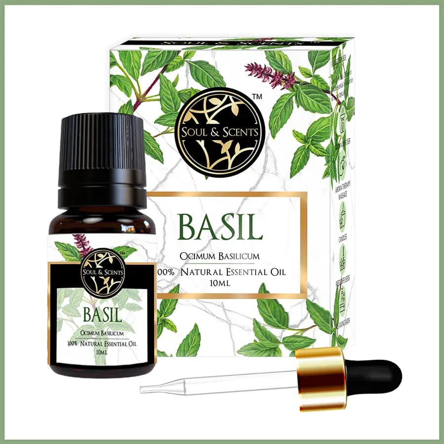 Essential Elegance Basil Essential Oil