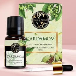 Aromatic Cardamom Essential Oil Gift 1