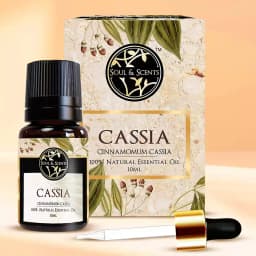 Divine Delight Cassia Essential Oil Gift 1