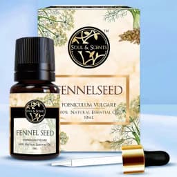 Revitalizing Fennel Seed Essential Oil 1