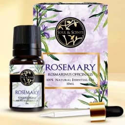 Rejuvenating Rosemary Essential Oil 1