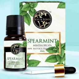Luxurious Spearmint Essential Oil 1