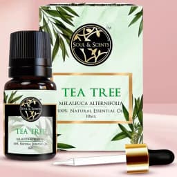 Divine Tea Tree Essential Oil 1