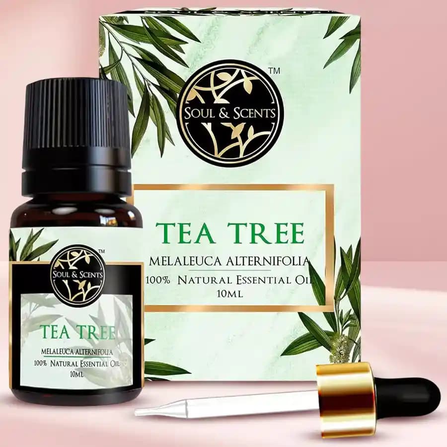 Divine Tea Tree Essential Oil