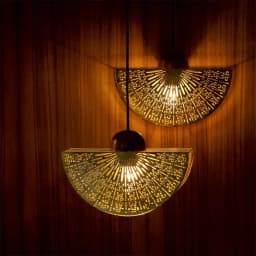 Radiant Reverie Hanging Lamp Surprise 1
