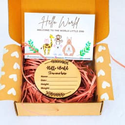 Splendid Newborn Baby Announcement Plague 1