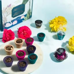 Aromatic Sambrani Cups Gift Set with Decorative Plate 1