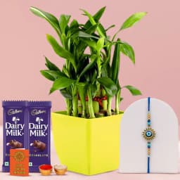 Aromatic 2 Tier Bamboo Plant with Evils Eye Rakhi 1