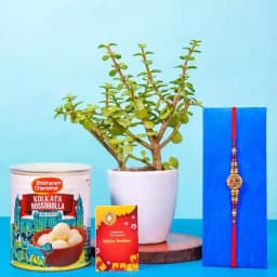 Jade Plant Kundan Rakhi n Rasgulla Combo 1