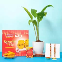 Peace Lily with AD Rakhi N Delish Peda 1