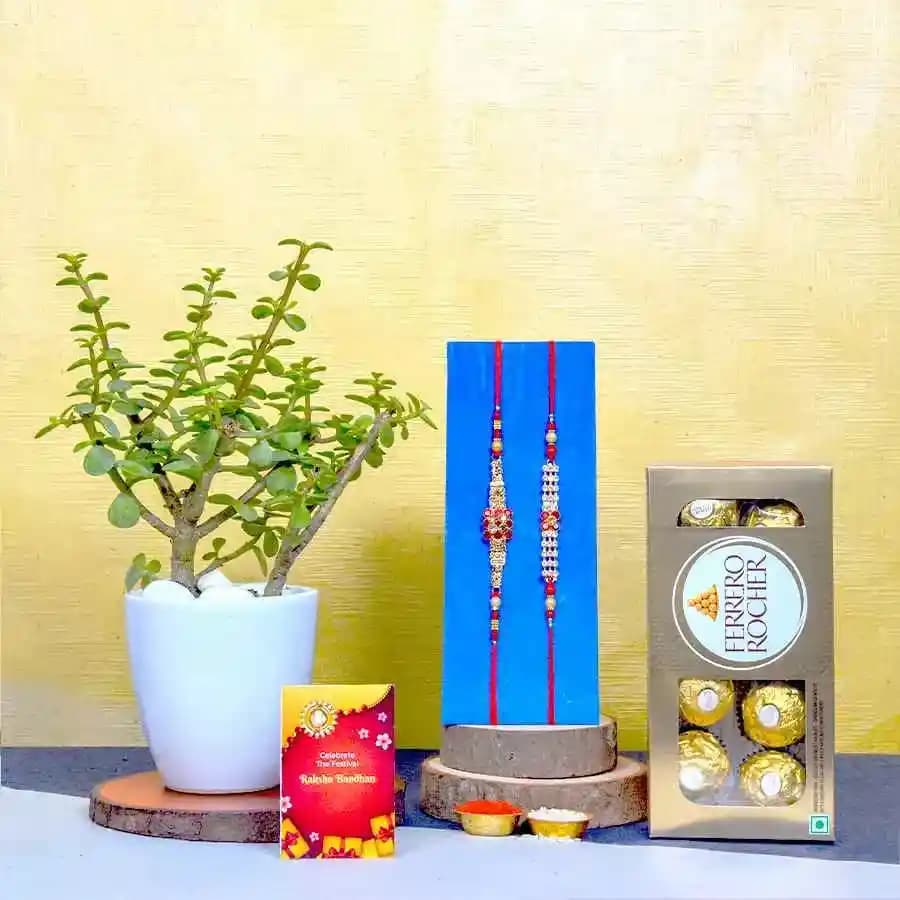 Ferrero Rocher Chocolates Jade Plant Treat with AD Rakhi