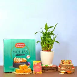 Bhaiya Bhabhi Rakhi with Plant N Motipak 1