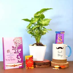 Om Rakhi with Syngonium Plant N More 1
