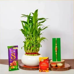 Showstopper Lucky Bamboo AD Rakhi n Cadbury 1